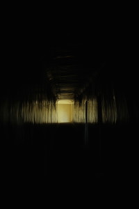 IMG_4221