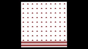 border_N_v1